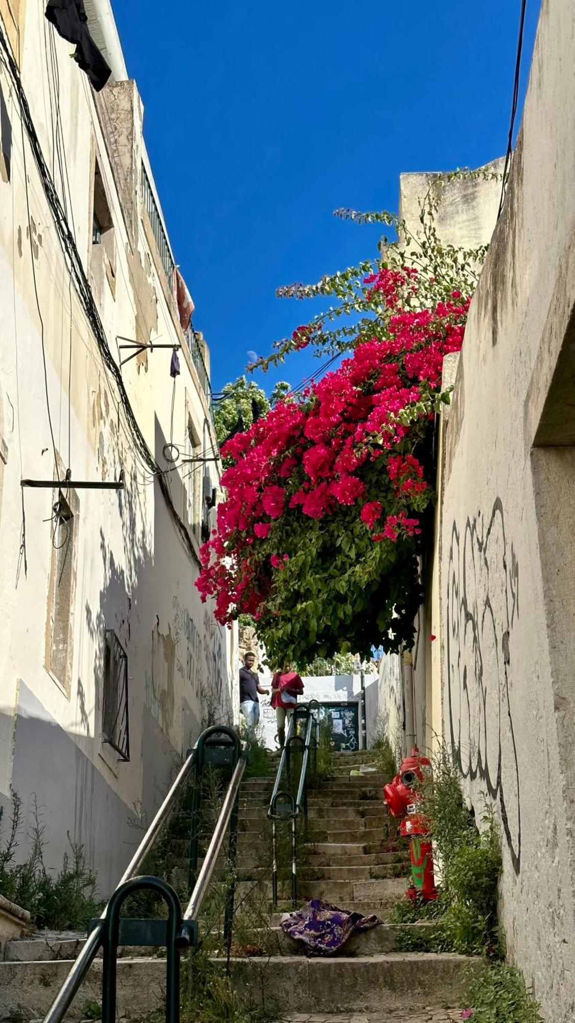 Castle Suites Lisboa Екстериор снимка
